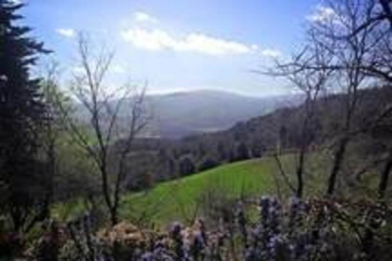 Podere Cerreto Casole dʼElsa Exteriér fotografie